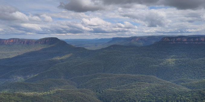 eucalyptus forests in scenic hills and valleys of Blue Mountains National Park
photo by Ian Kluft
Katoomba NSW, Australia
24 January 2025