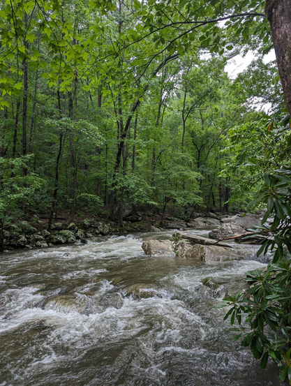 whitewater riffles on a rushing creek between verdant riverbanks on a cloudy day - Emery Creek, Chattahoochee-Oconee National Forest, Chatsworth GA