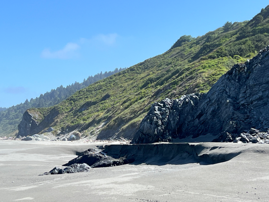 Sediment is being redeposited in the coastal areas of Redwood National and State Parks. This view shows blue skies with a few clouds over the green vegetation on the slopes behind the coastal area. The accumulating sediment that forms the beaches can be seen in the foreground. 