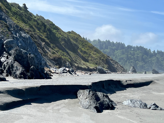 Sediment is being redeposited in the coastal areas of Redwood National and State Parks. This view shows blue skies with a few clouds over the green vegetation on the slopes behind the coastal area. The accumulating sediment that forms the beaches can be seen in the foreground. 