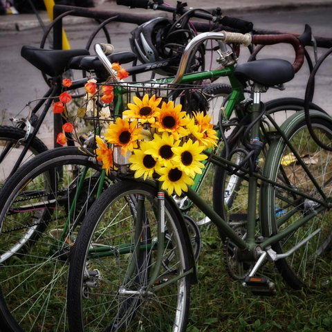 Several bikes are locked up together with one of them holding a bouquet of yellow flowers in its front basket.