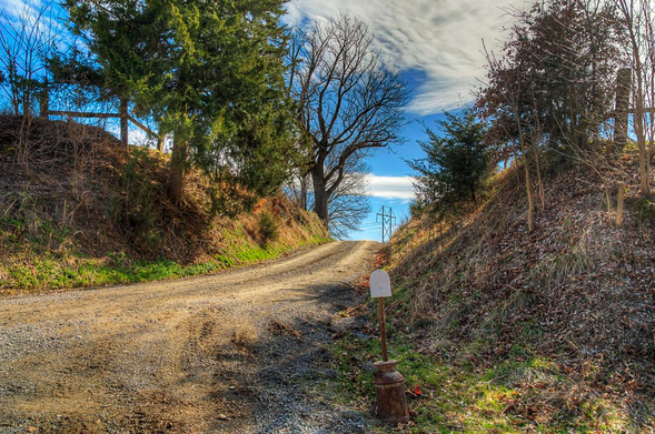 Sunken Road in the Winter 

A winding sunken road cuts through a hilly, leaf-covered forest, with bare trees lining either side.