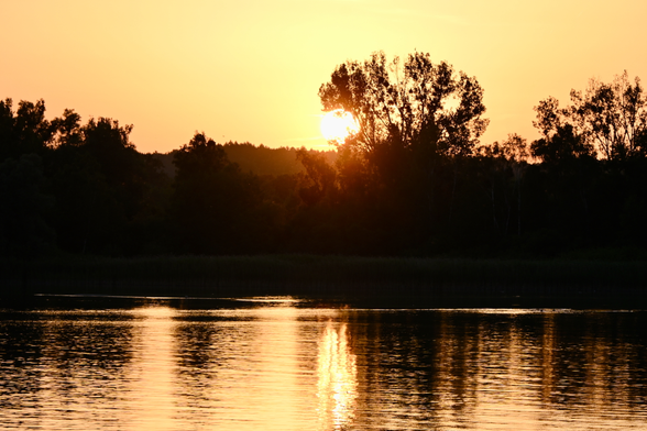 Hazy sunset behind some trees at the lakeshore, the sun just peeking out between the branches.