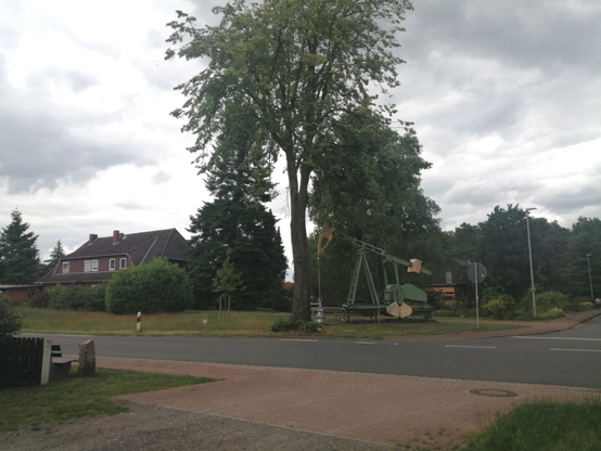 A tall tree as centre point with an old mechanical oil pump directly behind it.