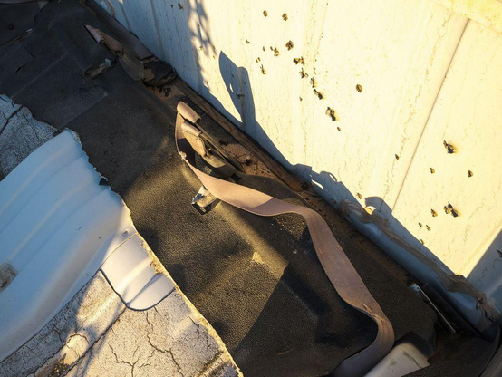 A seatbelt lying in front of bullet holes in an abandoned boat lit by sunrise.