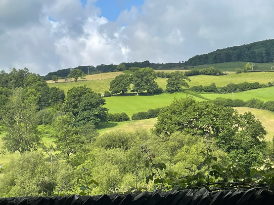 Patchwork of green fields with tress and hedges on low hillside, trees on the horizon under a very British summer sky