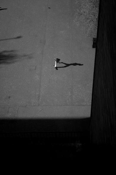 Someone far below, wearing white trousers and a dark top, on a wide expanse of tarmac, pushes off on a skateboard in the direction of the the building from which the picture is taken. They cast a long shadow to the right and the image is framed on the right by a wall in the shade and a deep shadow along the bottom.