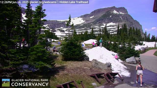 A little bit of snow provides park visitors with a lot of fun in this view from the Hidden Lake Trailhead in Glacier National Park. A trail in the foreground, a mountain in the back, with trees and people in the middle. Today, the sky is blue and the snow is melting. Of interest are a group of didactic panels which can be seen leaning on the grassy slope next to the trail (center foreground). 
