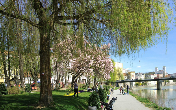 The picture shows the main promenade (Inn Promenade) alongside the Inn river, the much more beautiful recreational area in Passau. Italian style architecture and life style, horse chestnut trees in rows, Magnolia, Willow, playing ground for children, walking path for adults, benches to meditate in the sun. This is the sunny southside of Passau. A few people are seen talking, walking their dog or just relaxing on the grass.

In the background the river is running slightly to the right, showing all the baroque buildings of the Passau historic city on its left side. 

Not seen in the picture, on the opposite banks of the river the historic "Innstadt" would be seen.
The bridge seen in the picture running over the Inn leads there.

Remember: When all others are searching for the Danube, you go to the Inn, having a real holiday!
