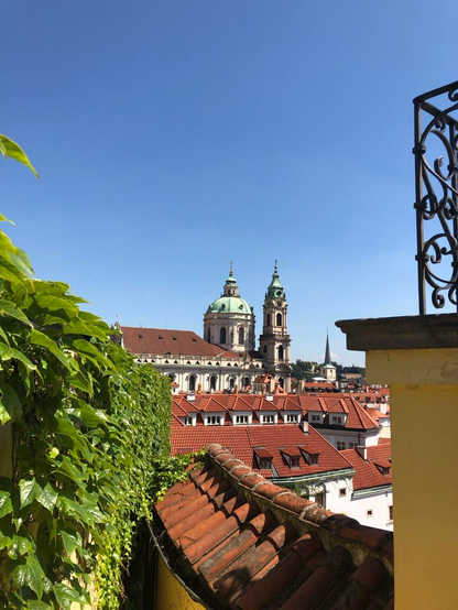 A view between a green hedge and a yellow wall shows the classic red rooftops of Prague. The sky is blue 