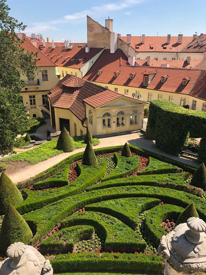 Looking down on the manicured topiary hedges of Vrtba gardens in Prague. The hedges look like waves seen from this vantage point. In the background are yellow and white buildings with red rooftops 
