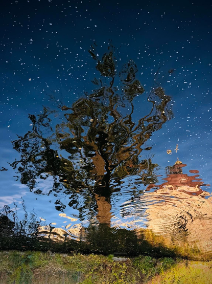 A reflection of a tree and a building in water, with ripples creating a distorted image. The sky is visible, with blue tones and some clouds.