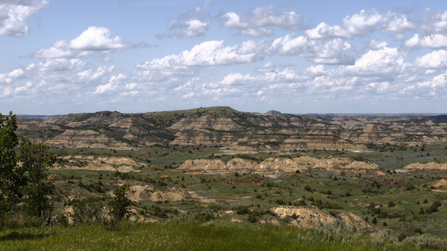 This is the view from Theodore Roosevelt National Park in North Dakota today. The green of the vegetation goes well with the reds, whites, and tans of the exposed landforms. Above, a mostly blue sky with some lines of puffy white clouds. The details seem finely etched with black though this is perhaps just the angle of the sun or the aspect of the slopes or my eyes playing tricks on me. 