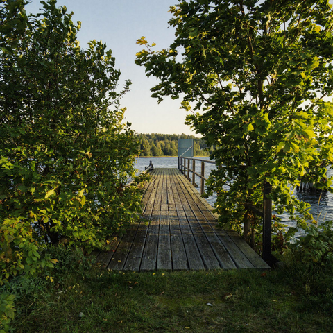 An old, rickety looking, wooden pier in a fjord, surrounded by trees and grass on the shore. Dense woods on the far side of the fjord and blue sky on a sunny afternoon.