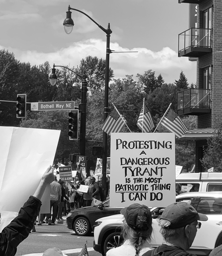 Black and white photo of a protest with a person holding a handmade sign that says "Protesting a dangerous tyrant is the most patriotic thing I can do" with three small American flags attached to the top.