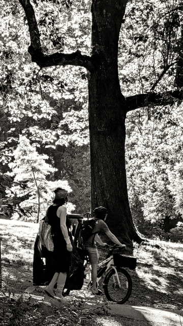 Black and white shot of two people, mid frame, one walking and the other on a bike, passing in front of a landscape lit up by the sun illuminating through the leaves of trees, making them look like they're glowing, contrasted by the dark back side of a tree's trunk and arms.