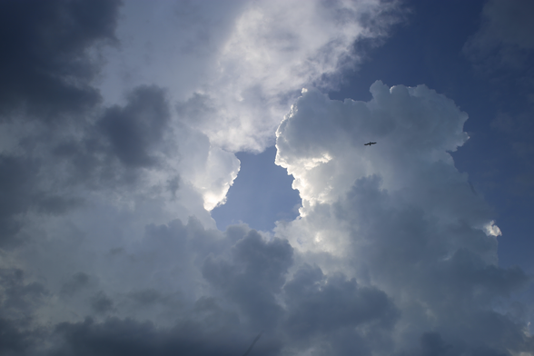 Soaring Over Tybee Island, GA
