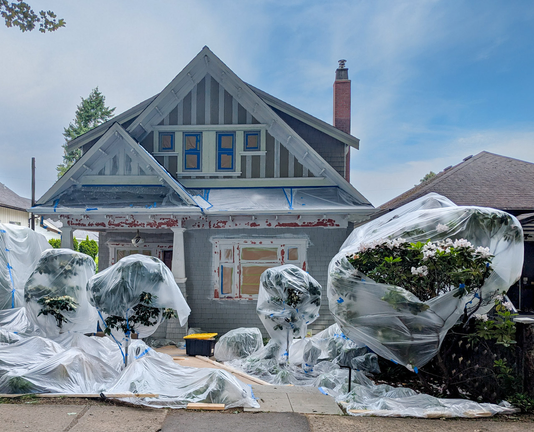 A blue house with white trim. There are several sizable shrubs occupying the front yard and they are all wrapped in thin plastic sheeting.