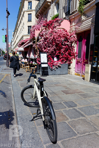Pink everything with bicycle in the foreground