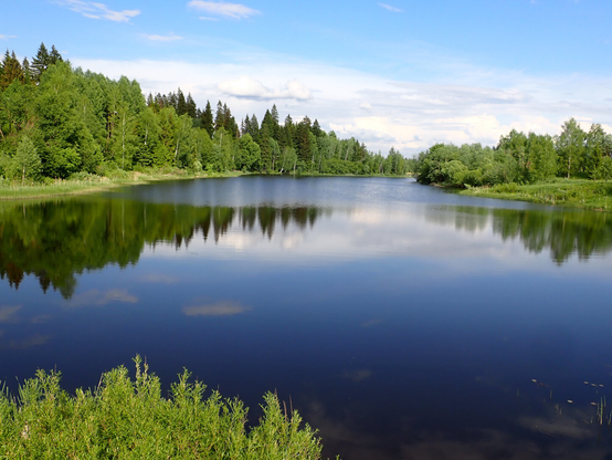 A pond, with forest on its sides, reflects blue sky, with rare clouds, in its calm waters.