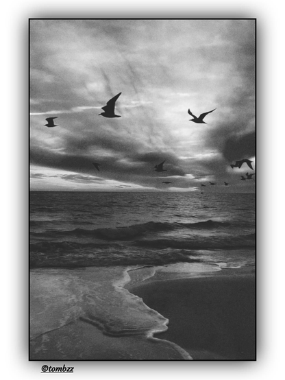 The black-and-white photograph depicts a sandy beach and a restless sea, with birds soaring above. In the foreground, irregular patterns formed by the water on the shore are visible. In the background, expressive clouds stretch across the sky, giving the image a dramatic atmosphere. The birds captured in flight add dynamism to the composition, while the contrast between light and dark tones emphasizes the raw beauty of the coastal landscape.