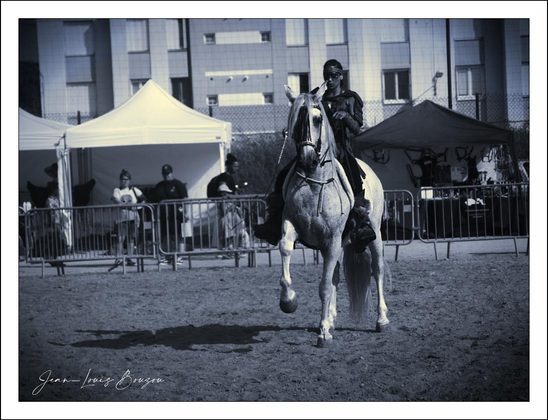  The horse, a majestic white steed, is captured mid-motion, with one front leg raised, conveying pride, strength, and grace.
The background contrasts the historical feel with a modern urban setting—high-rise buildings and tents suggest a city environment where this event might be held, possibly as part of a festival or showcase blending past and present. Spectators can be seen behind metal barricades, adding to the atmosphere of a public spectacle.
The tents and the fencing reinforce a controlled event space, while the monochrome palette lends a timeless quality, emphasizing the texture, light, and shadow over color distractions. This artistic choice enhances the dramatic effect, highlighting the stark contrast between the dark figure and the bright horse.
Symbolically, the image taps into themes of valor, tradition, and the human connection to horses, a bond steeped in history and culture across many civilizations. The poised stance of both rider and horse conveys discipline, partnership, and readiness, inviting viewers to appreciate not just the aesthetic but the story behind this moment frozen in time.