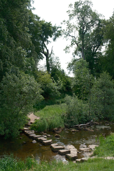 Stones have been laid across a small river to allow hikers to cross. The river is surrounded by lush vegetation and large trees.