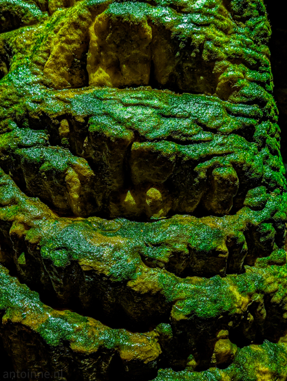A close-up, of a vibrant, textured surface in green and yellowish hues. The dominant color is a rich, almost glowing green, with patches and undertones of a lighter, more golden yellow. This color combination indicates the organic growth, and presence of algae or other symbiotic organisms on the rock.