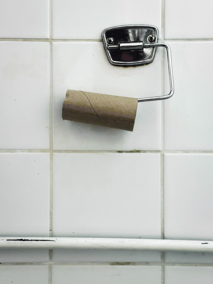 A roll of used toilet paper hanging crookedly from a rickety hook on a white tiled wall in the toilet of a vintage Berlin apartment can suddenly provide important clues about life and everything.