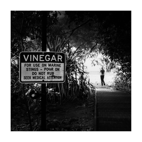 A square black-and-white photograph framed with a white border. Dominating the left foreground is a warning sign that reads: "VINEGAR - For use on marine stings - pour on, do not rub, seek medical attention." The sign is mounted on a post with a vinegar dispenser attached. Surrounding vegetation frames a narrow path leading toward the beach, where a lone person stands facing the ocean, partially backlit. The image features strong contrast between the shaded foreground and the bright background, with dense foliage creating a tunnel-like effect around the path.