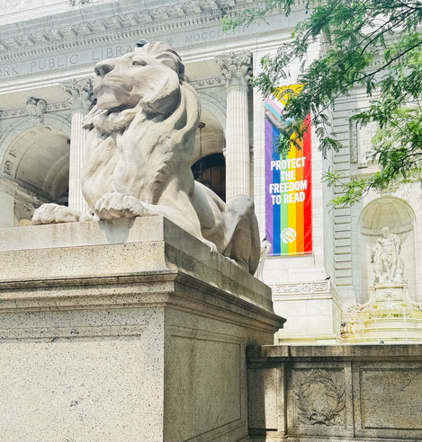 Color photo of one of the large stone lion statues in front of the 42nd St. library it is taken from the side looking up at its face and behind it is a long pride flag that says "protect the freedom to read". There are some tree branches covering a bit of it on the right side and some other stonework further back