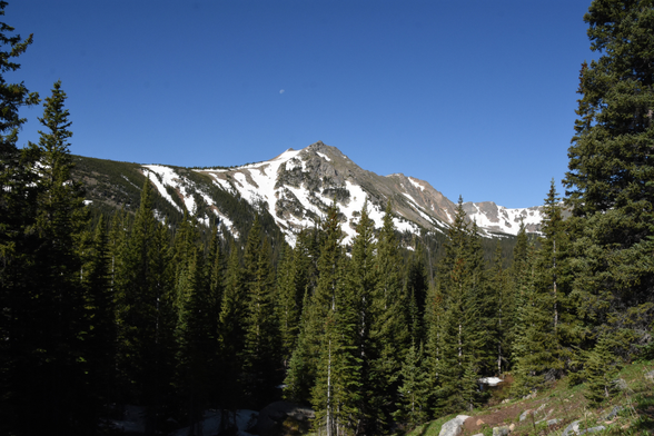 A rocky snow covered peak juts up from the conifer forest. The moon is still visible in the morning sky above the peak.