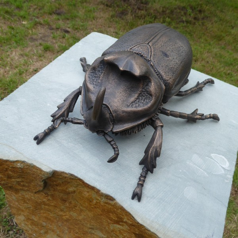 Skulptur eines Käfers aus bräunlichem Metall auf einer hellen Steinplatte. Die Figur ist überlebensgroß und zeigt filigrane Details, z.B ein Horn am Kopf.
