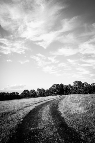 A winding dirt path running through an open grassy field toward a line of trees in the background. The sky above is filled with wispy clouds.