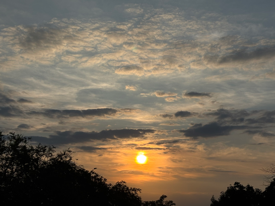Am linken Bildrand ragt die Silhouette eines belaubten Busches ins Bild. Am rechten Bildrand ist Laub in der unteren Ecke zu erahnen. Die Sonne scheint hellgelb mittig unten und überstrahlt den Himmel, der in deren oberen Hälfte von weißen Schäfchenwolken bedeckt wird und hinter denen nachthellblau Himmel vorblitzt.