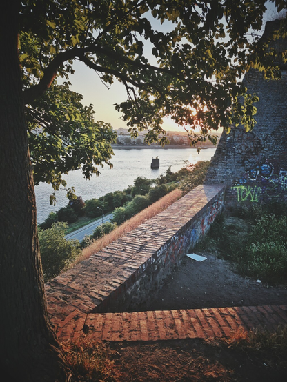 A slightly high-angle, eye-level, portrait orientation photo captures a view over a waist-high brick wall bottom and center, and a taller wall in the right side of the photo, part of the Petrovaradin Fortress in Novi Sad, through tree branches and alongside a tree trunk on the left side, framing the photo, towards the Danube River at sunset. The sun, partially obscured by the leaves of the tree, casts a warm glow over the scene. The brick wall is in the midground, with some graffiti visible on the wall to the right. Beyond it, the wide Danube River stretches across the frame, with an old bridge pylon in the middle of the river, and the faint outline of Novi Sad on the far bank. The sky above the horizon is bright with the setting sun.