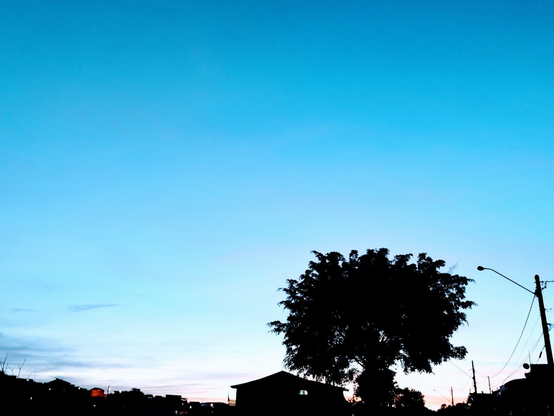 Foto da silhueta de uma casa ao lado de uma árvore mais alta que a casa. Ao fundo há o céu azulado no pôr do Sol.