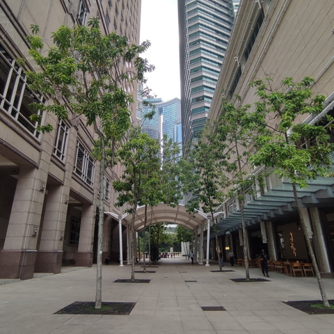 A side alley next to the PETRONAS twin towers in Kuala Lumpur, Malaysia. There are trees and tall buildings on either side.