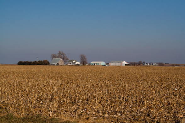 A brown coloured field of dry stalks in a Kansas farming area covers almost the lower half of this photo. The horizon line has houses and barns and some trees and other vegetation.  Above that is an expansive view of the sky.