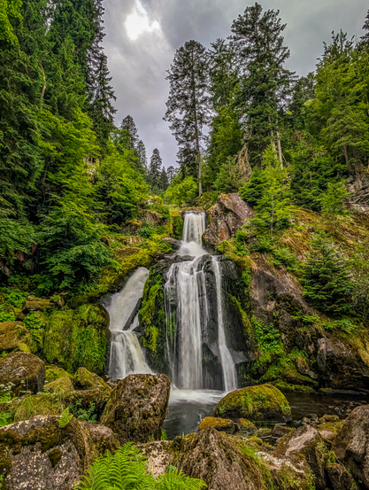 A multi-tiered waterfall cascading down a rocky, moss-covered incline, surrounded by a lush, dense forest. The water appears white and frothy as it tumbles over the various drops, due to a long exposure setting, blurring the movement of the water. The rocks around the waterfall are vibrant with green moss and various plants. Tall, dark green coniferous trees dominate the background and frame the waterfall on both sides.

The Triberg Waterfalls is one of the highest waterfalls in Germany and a landmark in the Black Forest region. 