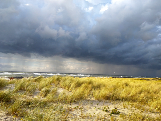 Der Betrachter steht in den mit Strandhafer bewachsenen Dünen eines Strandes, der selbst nicht zu sehen ist. Die Wellen der Ostsee tragen Schaumkronen. Über dem Wasser liegt eine dunkle Wolkenfront mit Regenschleiern darunter.
