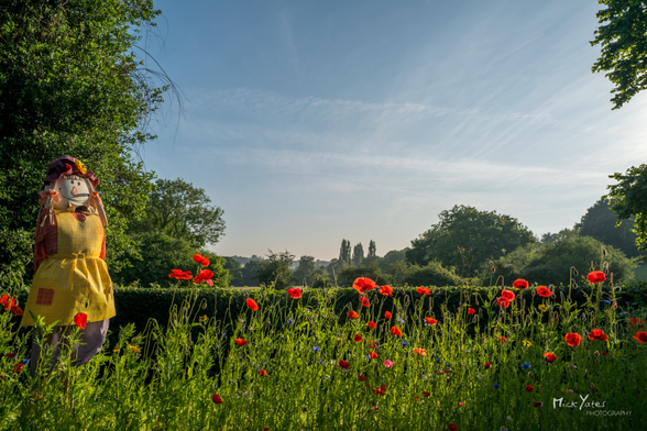 Scarecrow with wildflowers and poppies in garden, with view to distance, big blue sky and trees