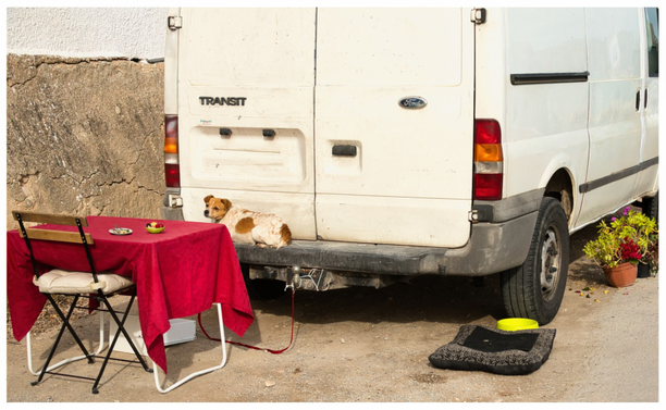 Im Hintergrund ein weisser Kastenwagen, auf seiner Laderampe sitzt ein kleiner angeleinter Hund. Vor ihm ein Campingtisch mit roter Tischdecke. Ein einzelner Klappstuhl mit Sitzrichtung zum Hund. Am schotterboden Fressnapf und Liegekissen des Hundes, vor der Ladetür zwei Blumentöpfe  mit verschiedenen Ablegern.