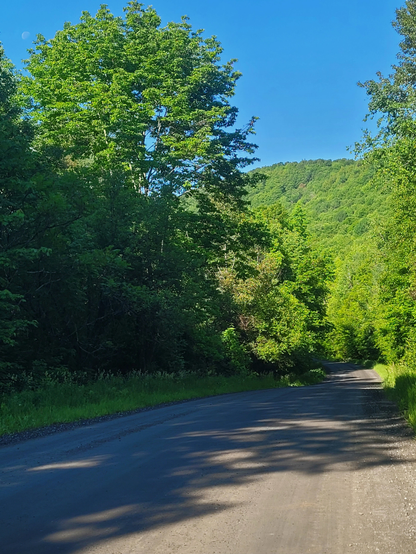 Un chemin de terre sinueux dans la forêt.  Une colline se dessine au loin. Le chemin se perd au creux gauche de la colline toute de vert vêtue. Encore ici le ciel est bleu maculé et la lune se trouve à l'extrémité gauche de la photo.