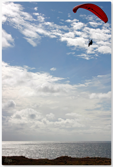 Blick auf die Nordsee bei Bovbjerg in Dänemark, der Himmel ist blau, aber mit vielen Wolken, Sonnenlicht fällt auf das Meer und bringt es zum Glitzern. Ein Gleitschirmflieger mit rotem Gleitschirm fliegt von rechts oben ins Bild.

View of the North Sea near Bovbjerg in Denmark, the sky is blue but with many clouds, sunlight falls on the sea and makes it sparkle. A paraglider with a red paraglider flies into the picture from the top right.
