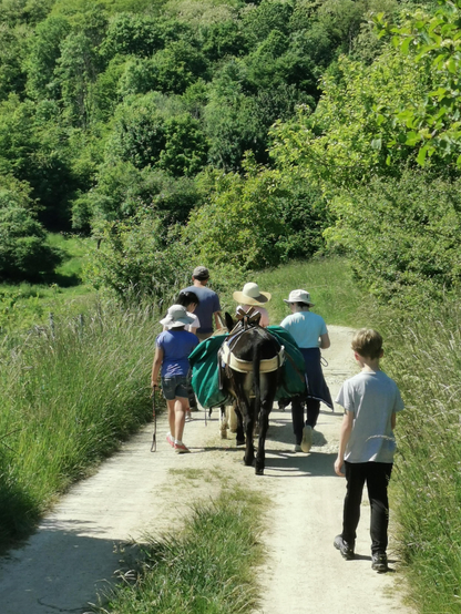 Des enfants marchent sur un chemin de campagne accompagnés d'un âne