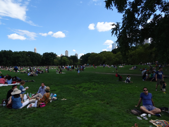 Das Bild zeigt eine weitläufige, grüne Wiese in einem Park, auf der viele Menschen an einem sonnigen Tag picknicken. Es sind zahlreiche Gruppen von Menschen zu sehen, die auf Decken sitzen und essen, sowie einige Einzelpersonen, die sich entspannen. Im Hintergrund sind Bäume und Hochhäuser zu sehen, die auf eine urbane Umgebung hinweisen. Die Gesamtstimmung ist friedlich und entspannt, und das Bild vermittelt ein Gefühl von Gemeinschaft und Freizeitaktivitäten im Freien.