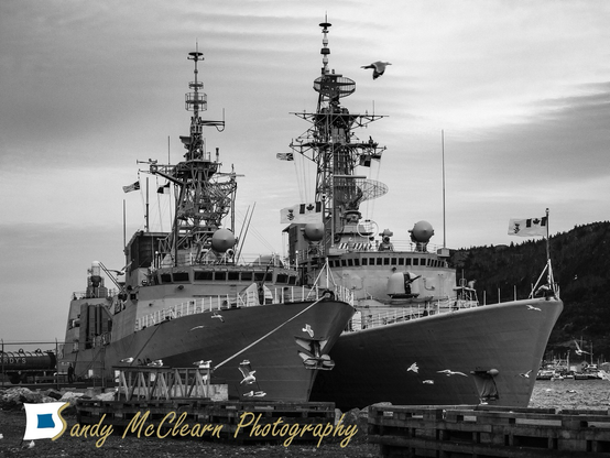 Two warships tied up with a flock of seagulls taking off in the foreground. 