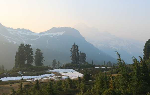 Photograph of large mountains with snow on top, in a very hazy but still blue landscape due to forest fires in the province that year. The mountains have a ghostly appearance, under a pale blue and pink sky at sunset, In the foreground, much closer to the photographer, are deep green spruces and patches of white snow on a brown ground.