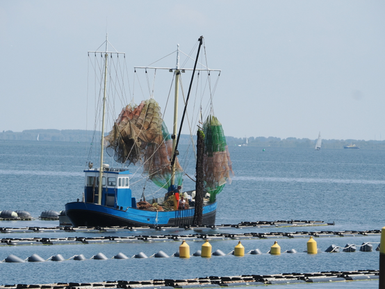 Muschelkutter mit hochgezogenen Netzen zwischen den Muschelbankmarkierungen.